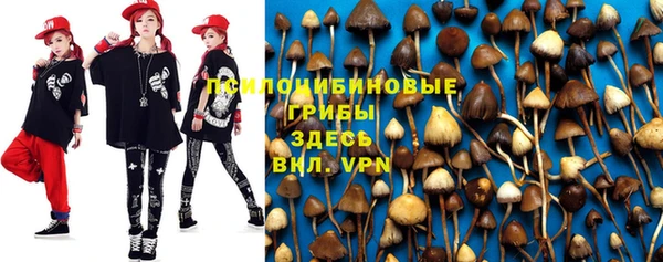 PSILOCYBIN Алексин