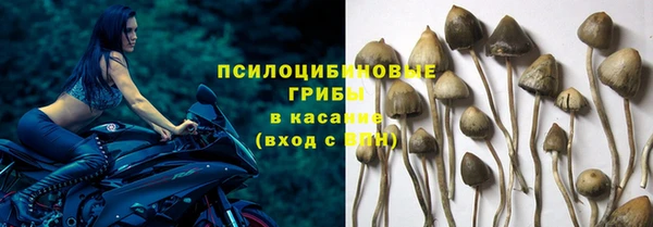 PSILOCYBIN Алексин