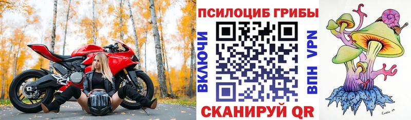 Галлюциногенные грибы ЛСД  Павловская 