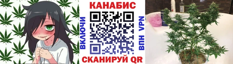 Марихуана THC 21%  Павловская 