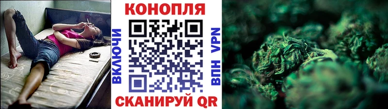 МАРИХУАНА семена Павловская
